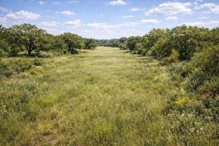 Intended condition — Drainage Savanna Corridor