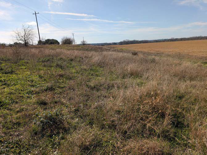 Existing condition — Floodplain Agricultural Basin