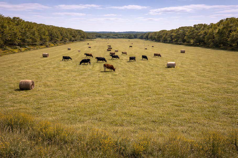 Intended condition — Floodplain Agricultural Basin