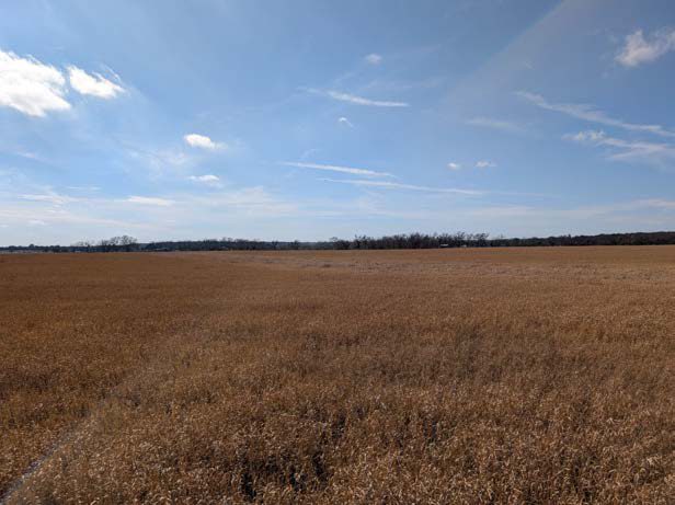 Existing condition — Western Agricultural Uplands