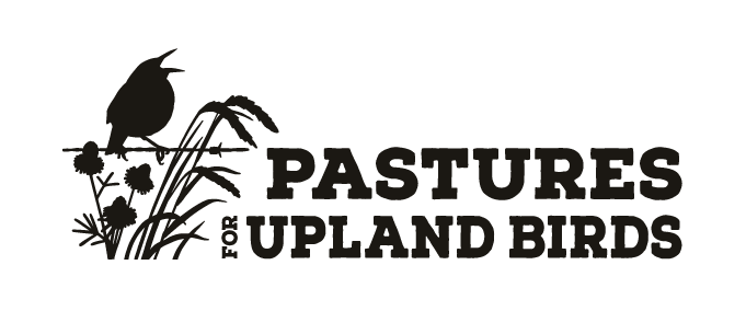 Pastures for Upland Birds program mark — a meadowlark perched in bluestem and basketflower